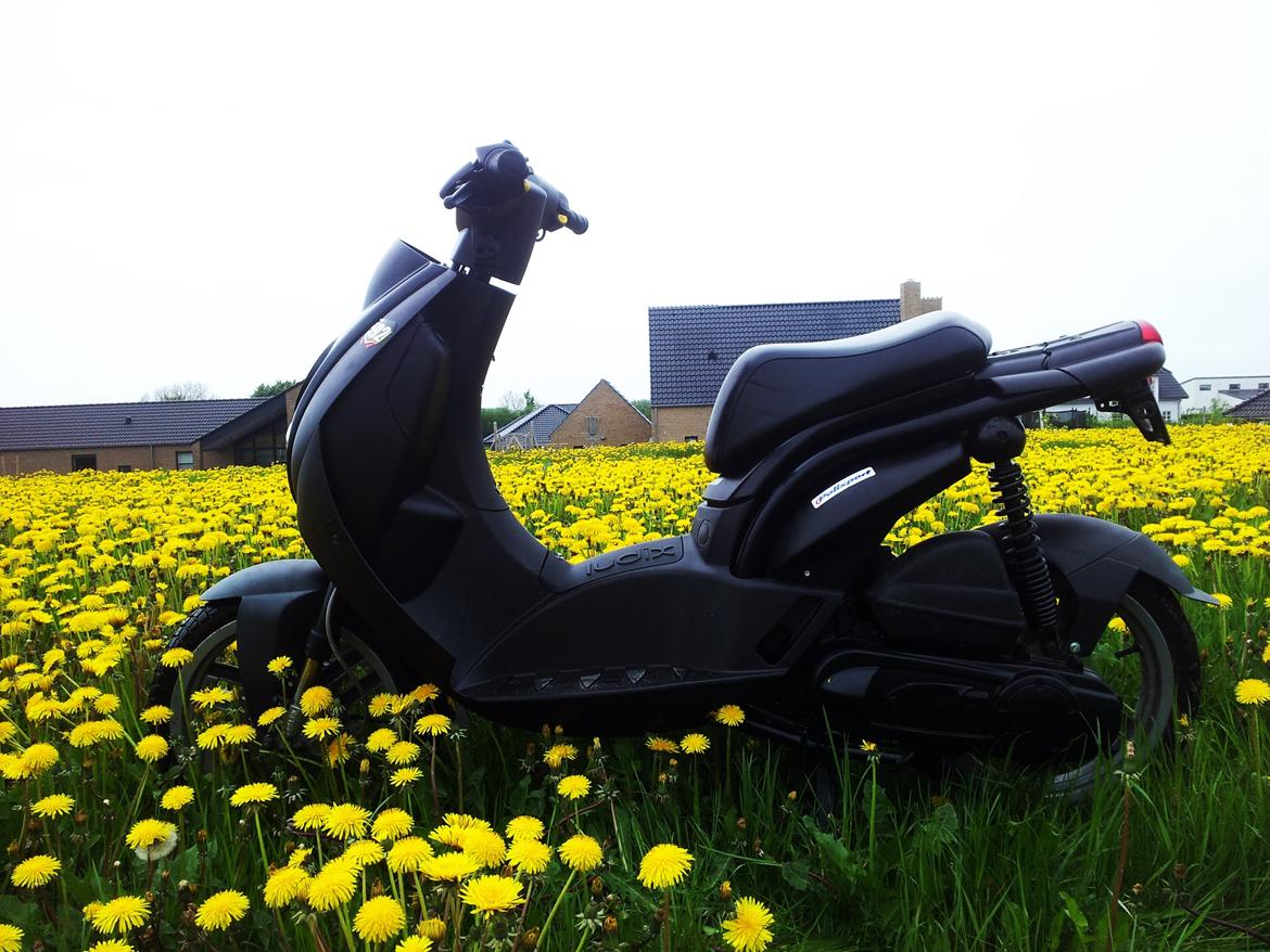 Peugeot Ludix Pro billede 7