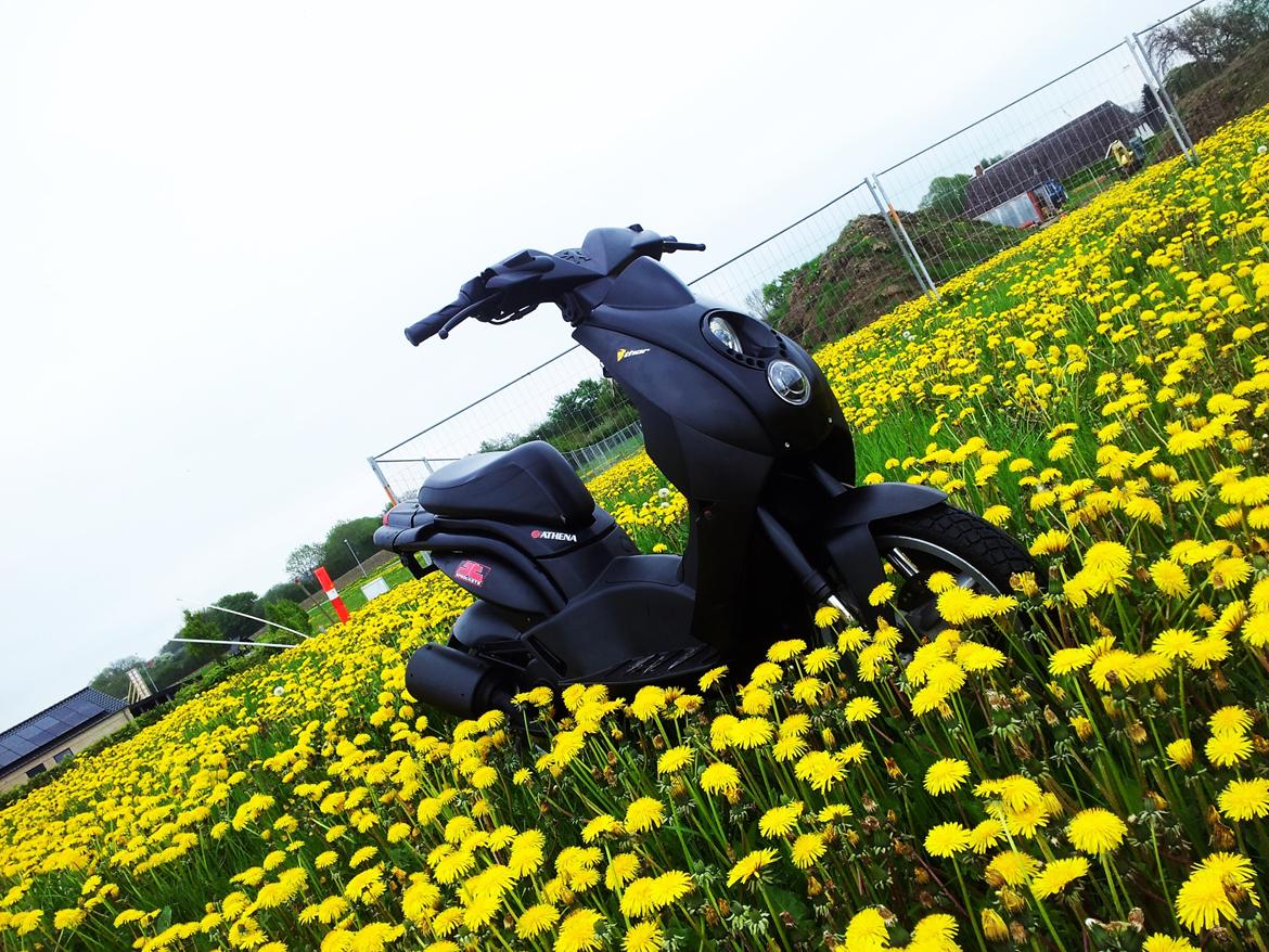 Peugeot Ludix Pro billede 8