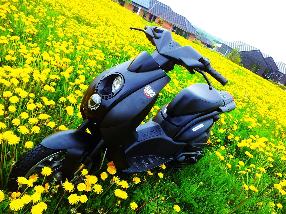 Peugeot Ludix Pro billede 9