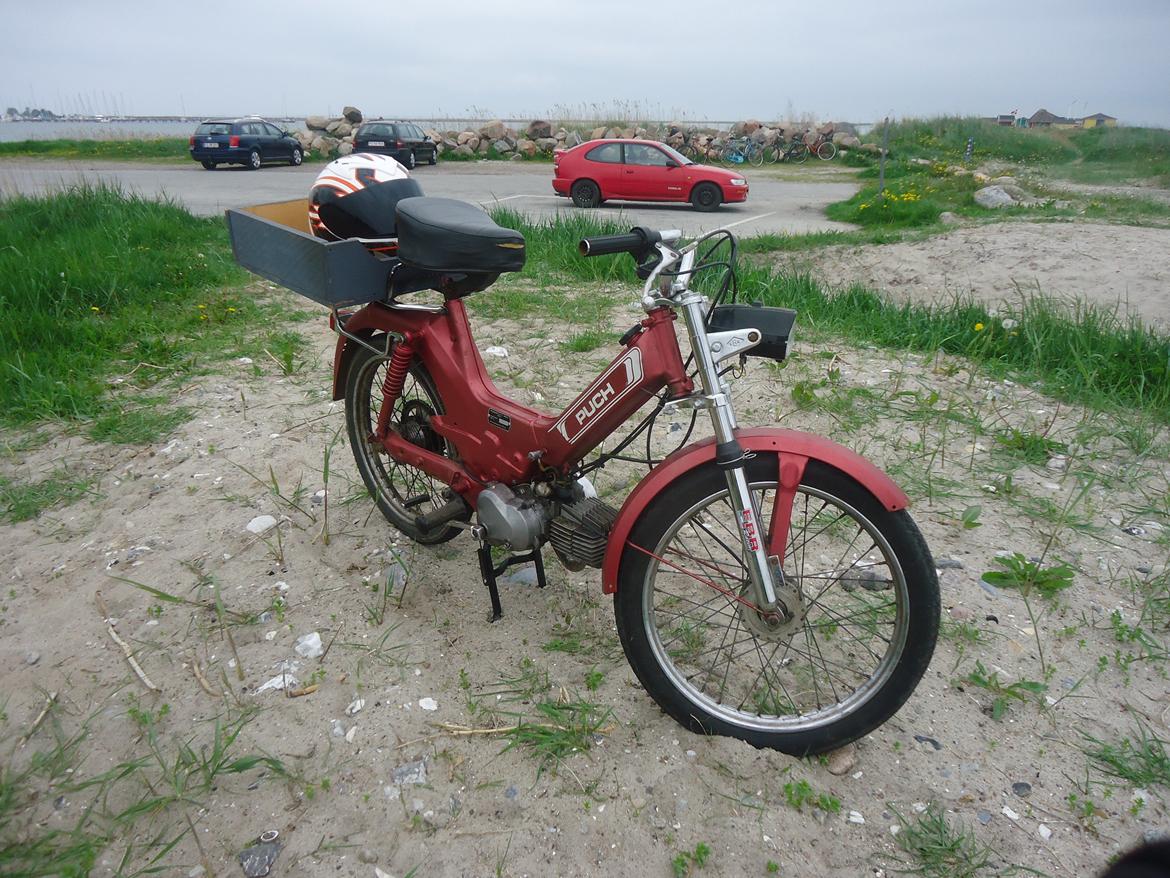 Puch Maxi KL billede 1