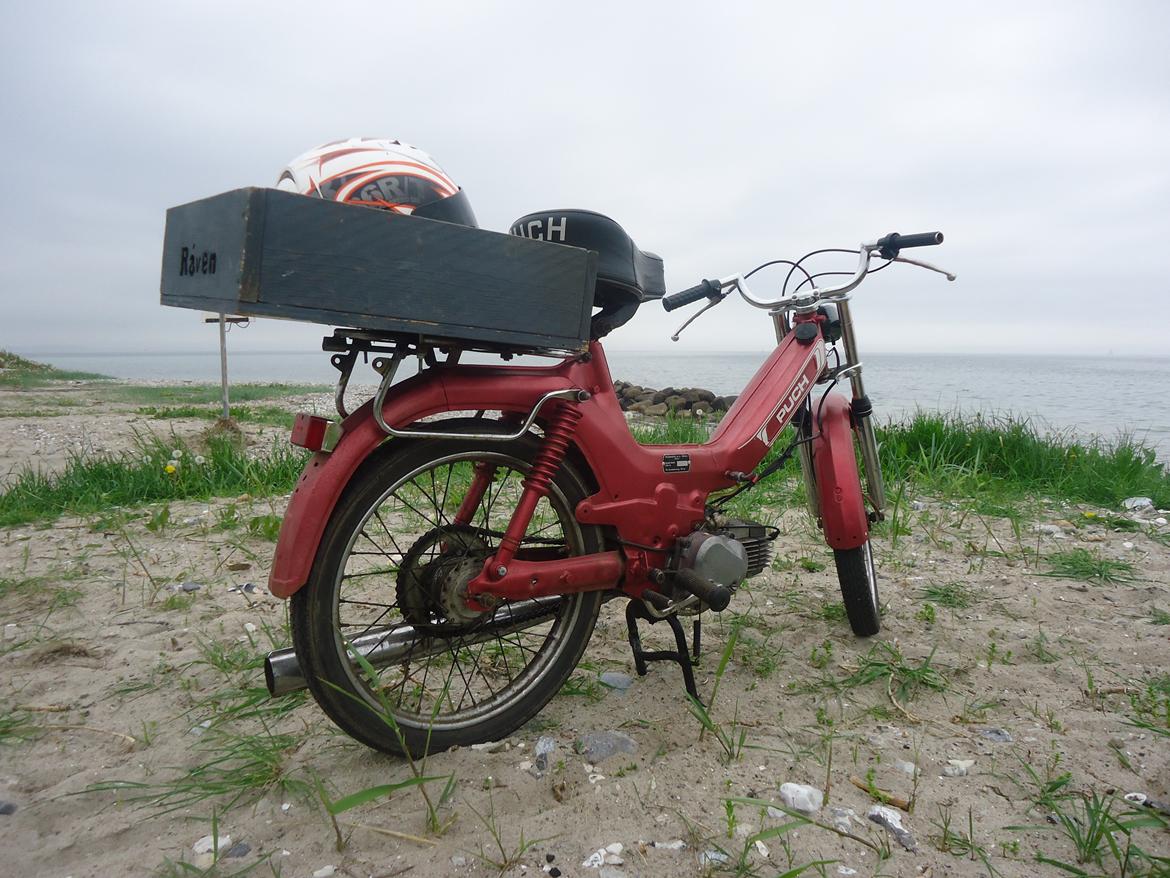 Puch Maxi KL billede 3