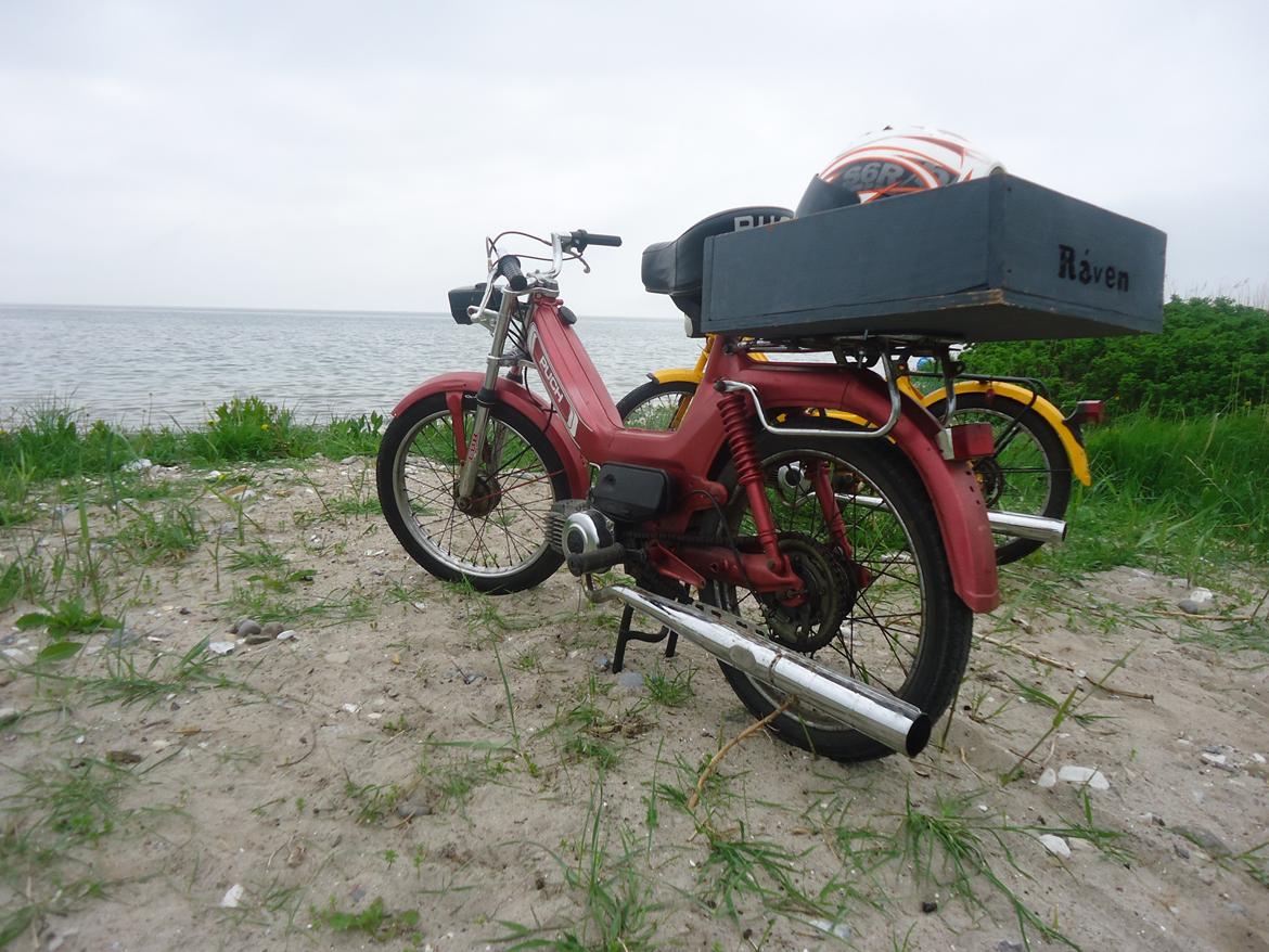 Puch Maxi KL billede 4
