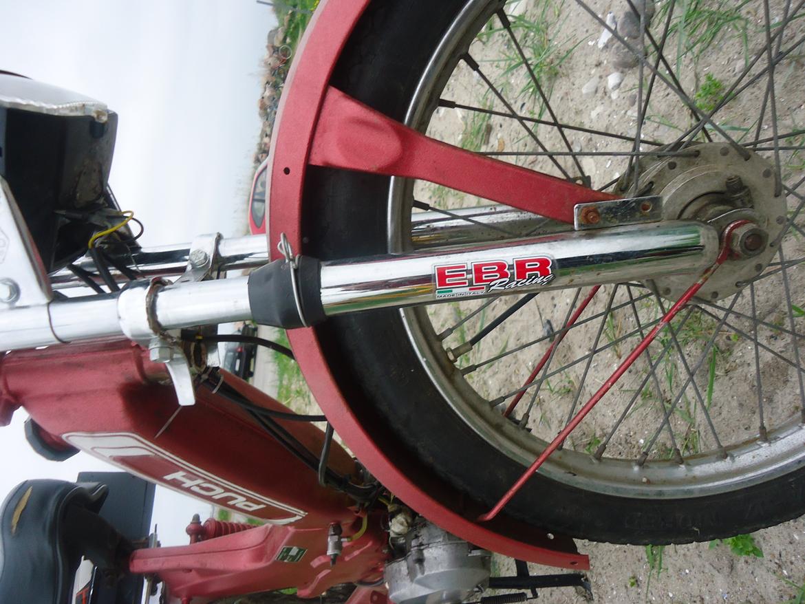 Puch Maxi KL billede 6