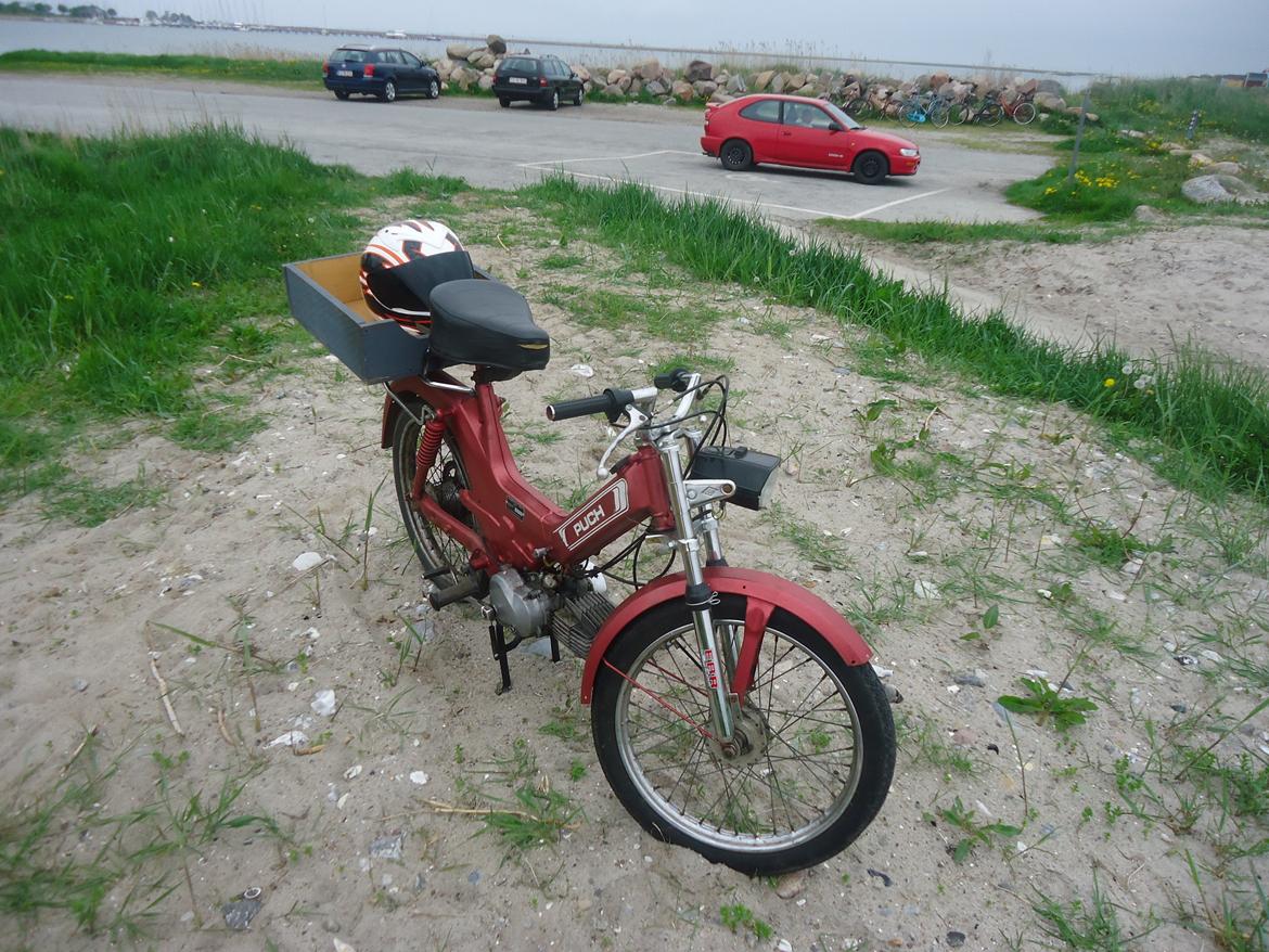 Puch Maxi KL billede 7