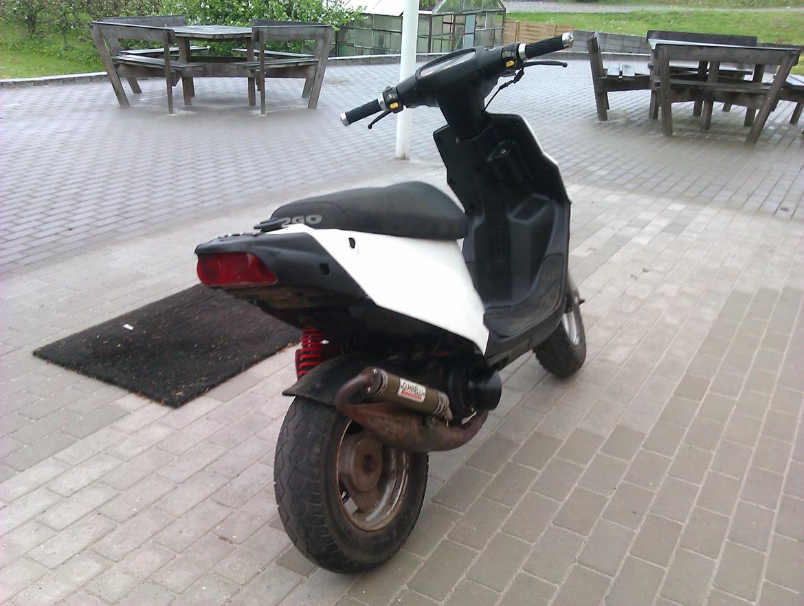 PGO Hot 50 billede 2