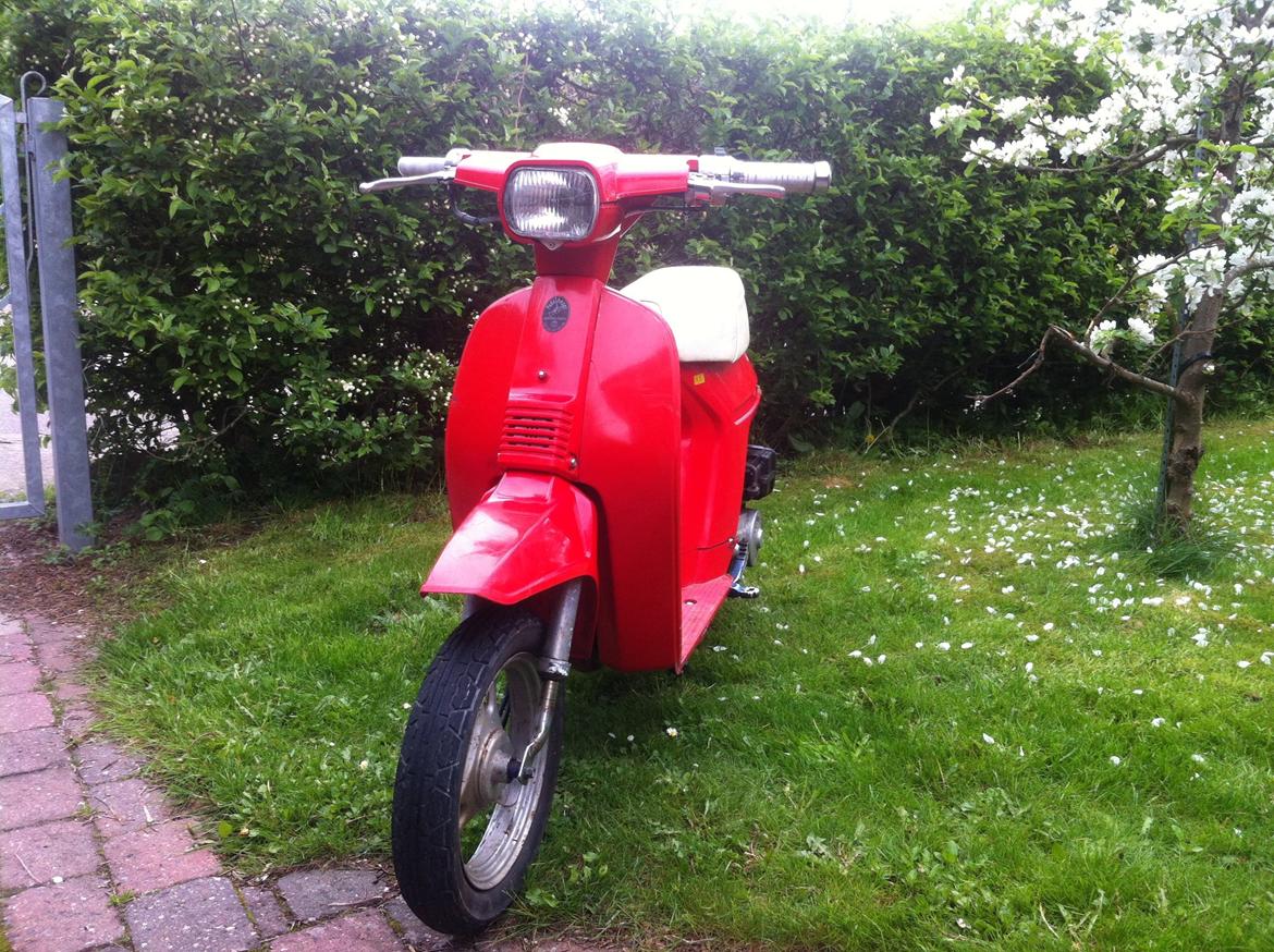Honda Melody billede 1