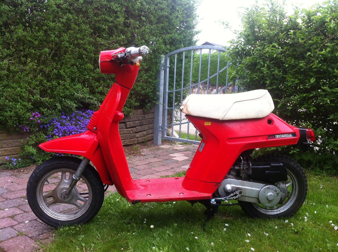 Honda Melody billede 2