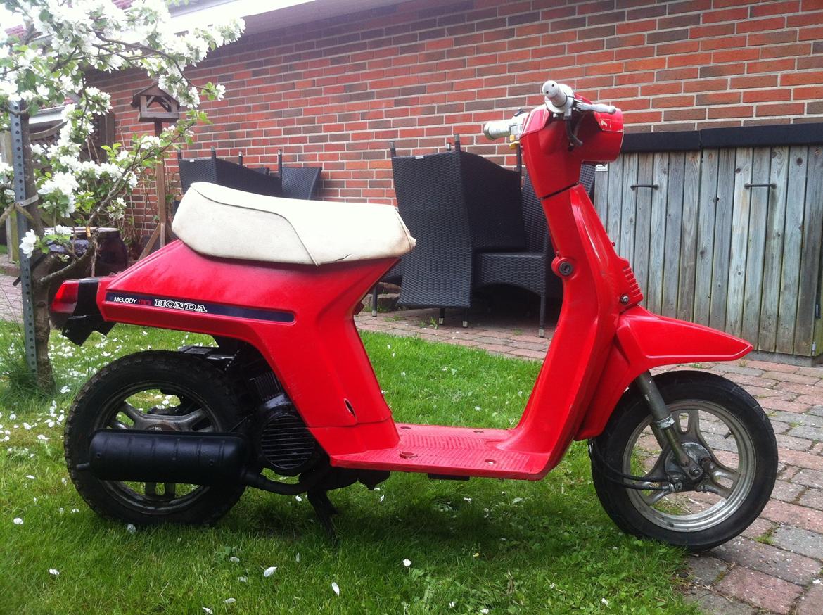 Honda Melody billede 3