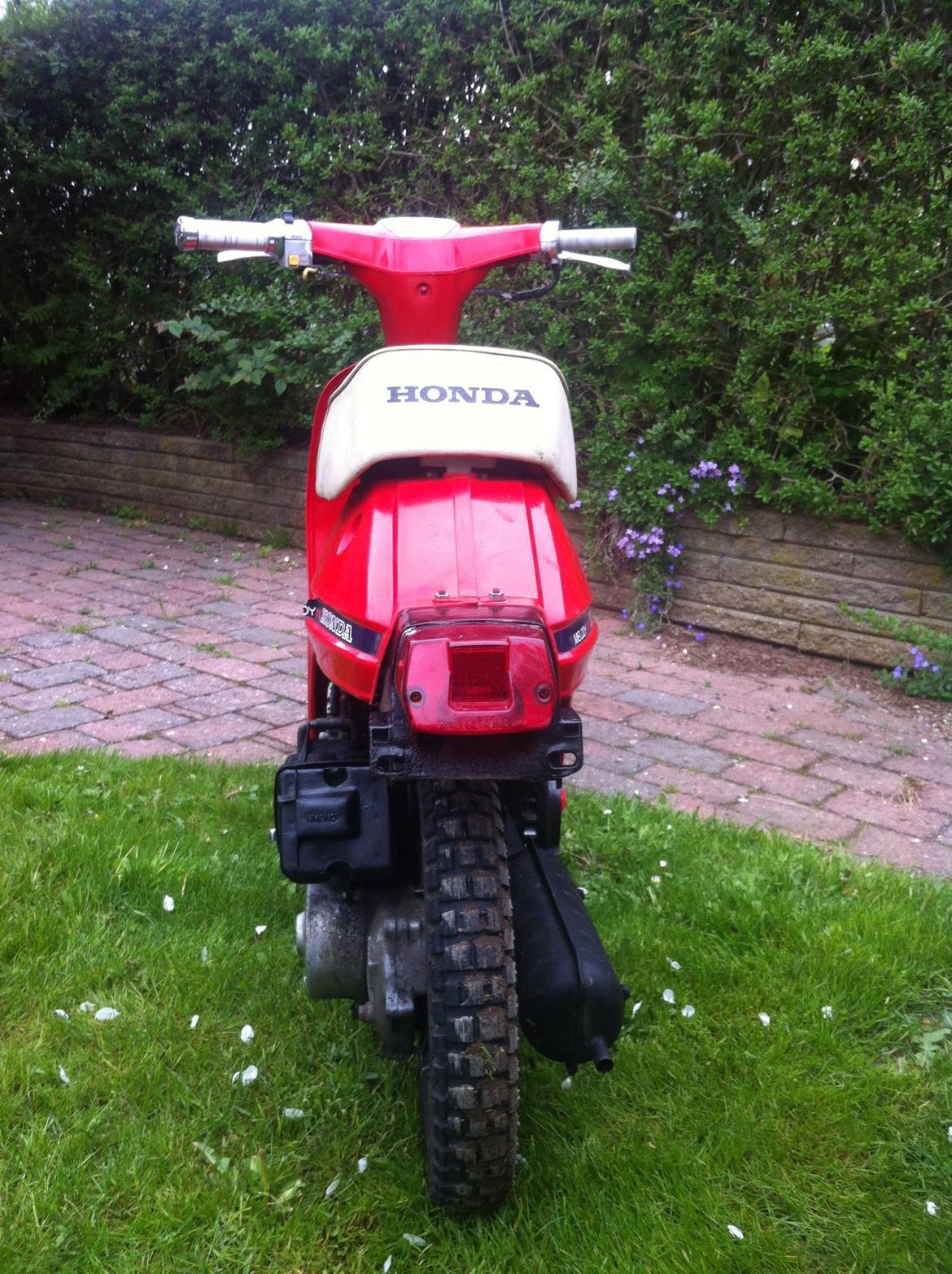 Honda Melody billede 6