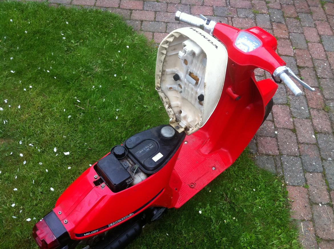 Honda Melody billede 10