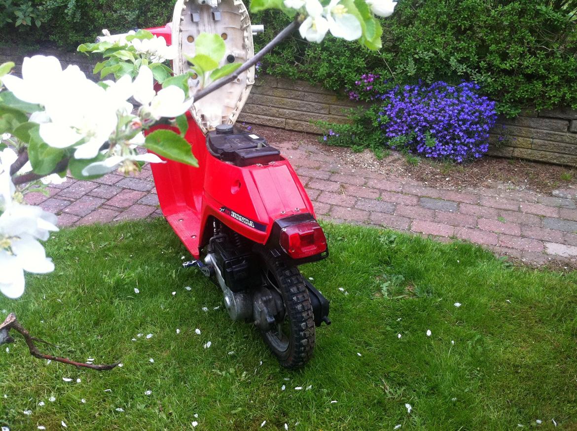 Honda Melody billede 12