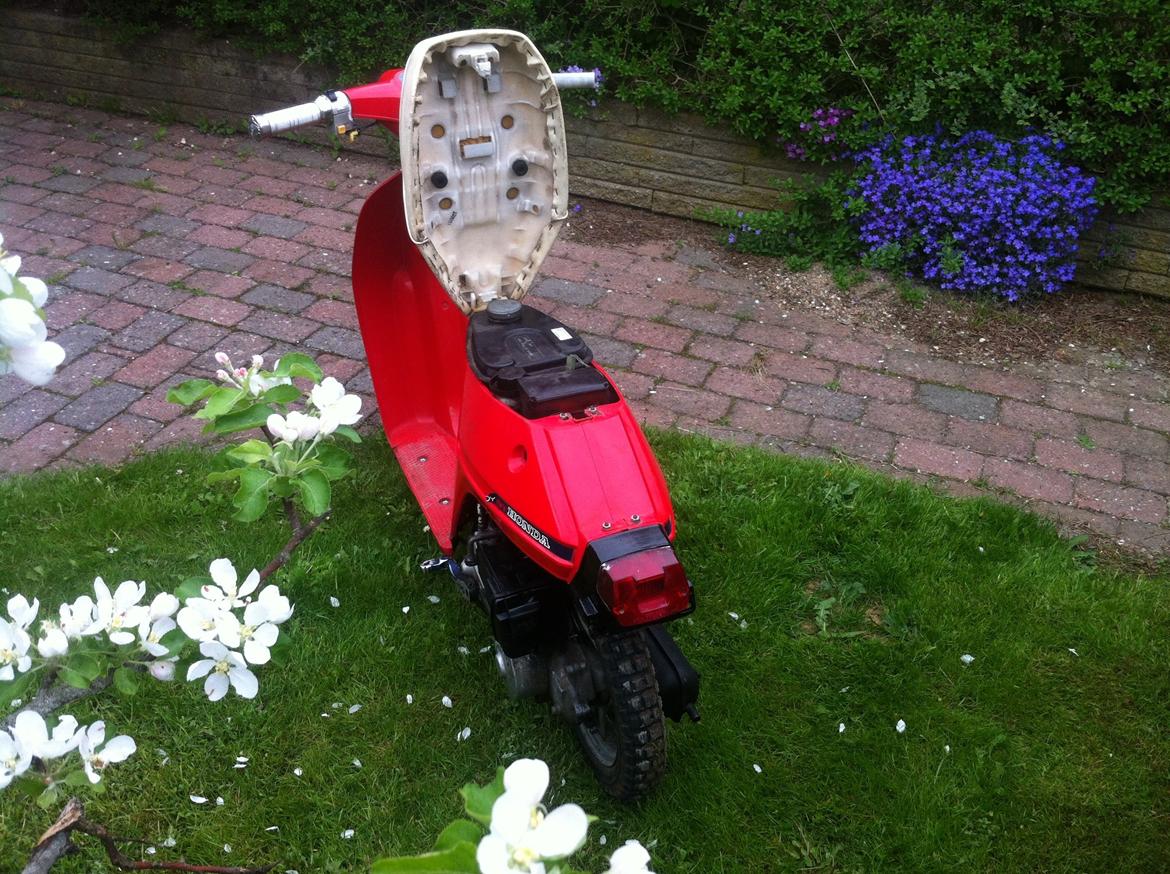 Honda Melody billede 13