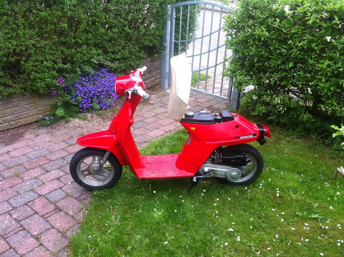 Honda Melody billede 15