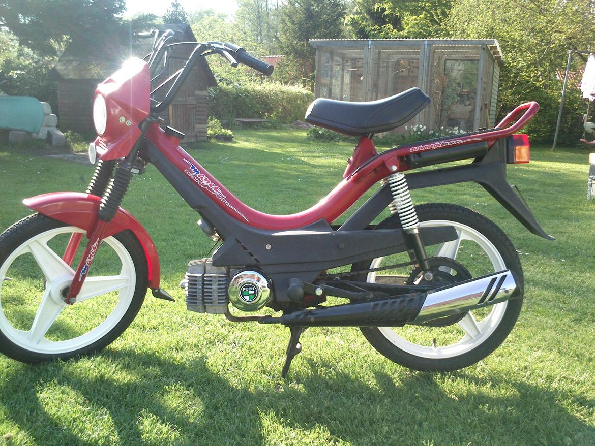 Puch korado billede 1