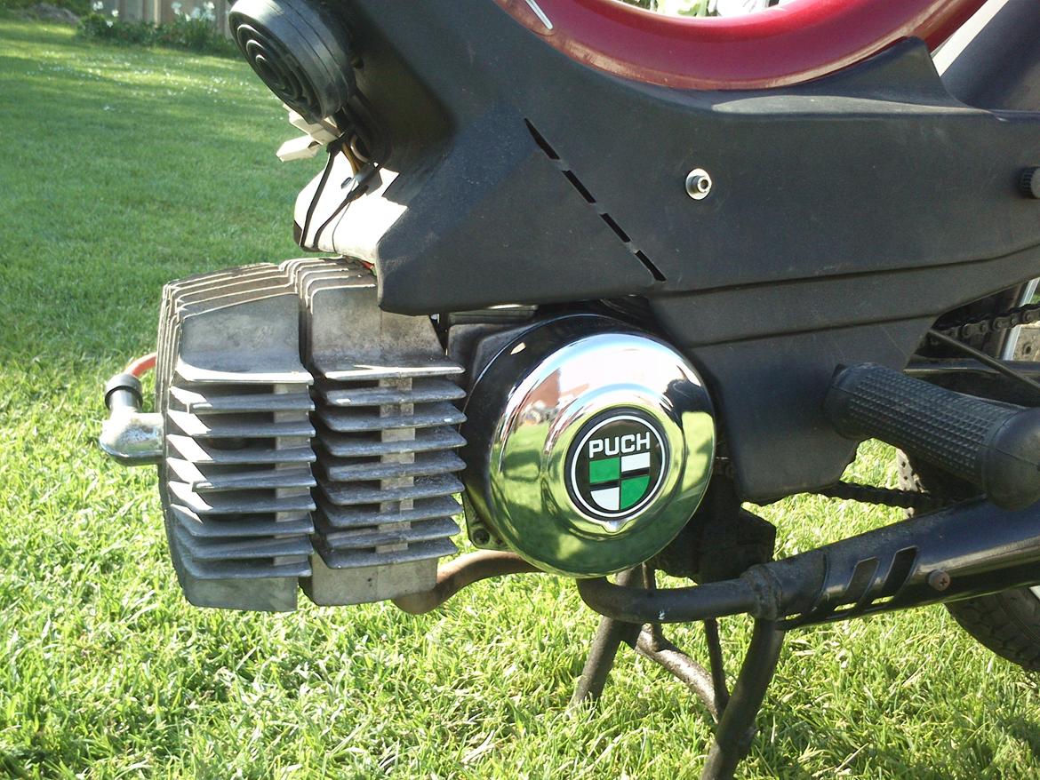 Puch korado billede 5