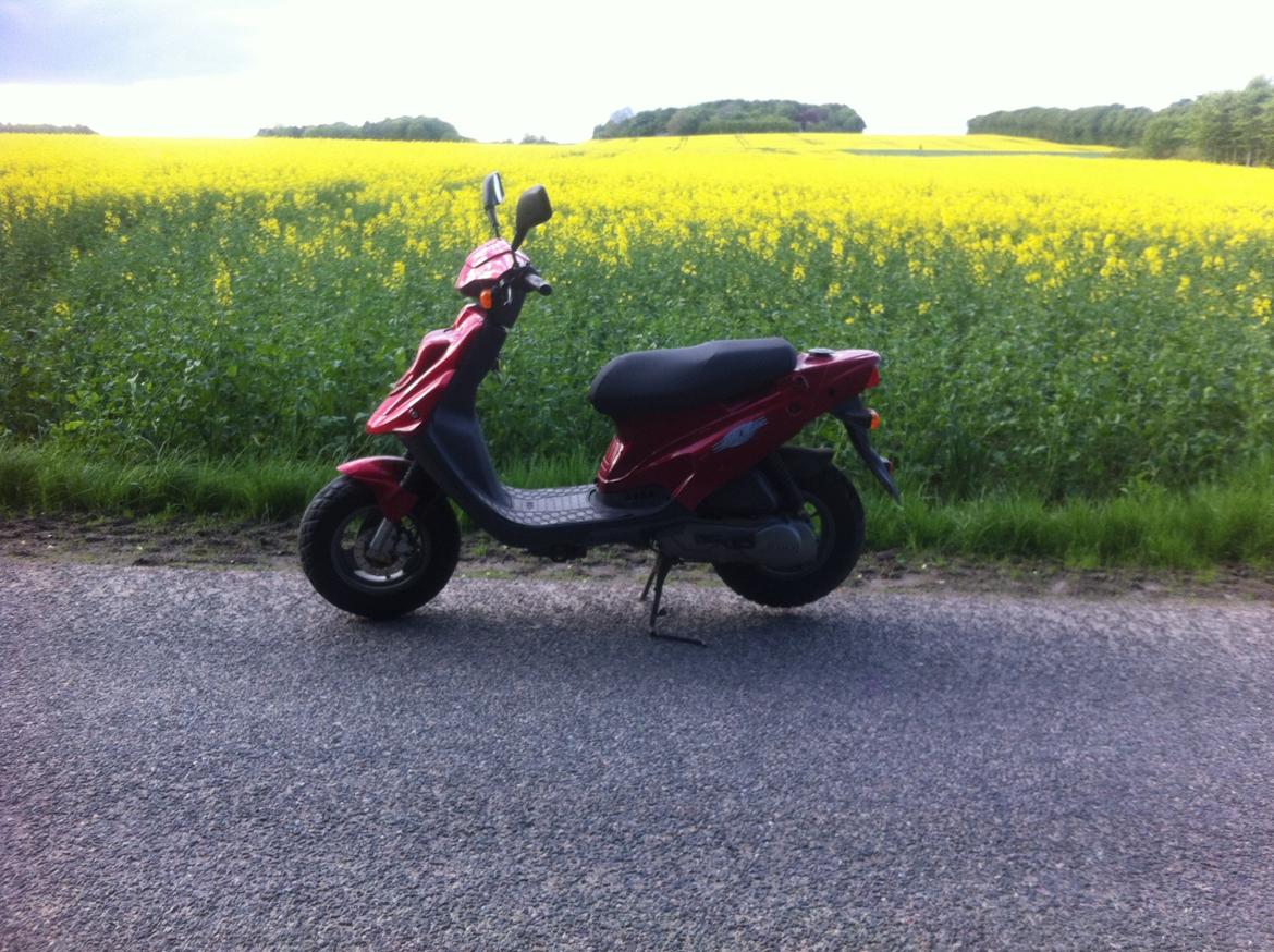 PGO Hot-50 billede 2