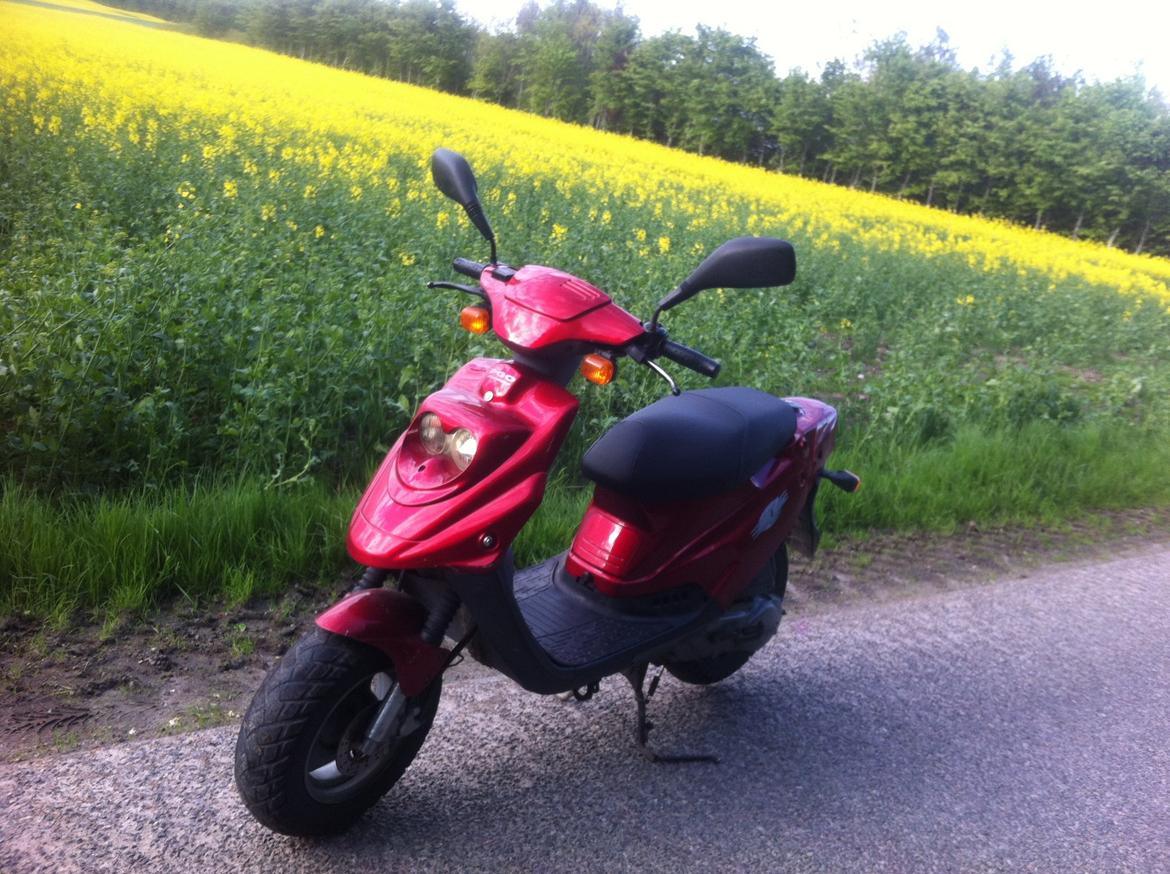 PGO Hot-50 billede 5