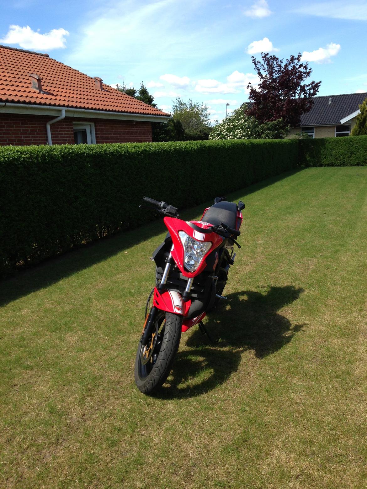 Malaguti Drakon nrd 50 billede 5