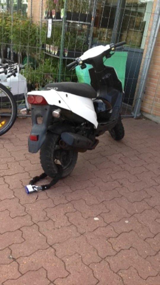 PGO hot 50 billede 5