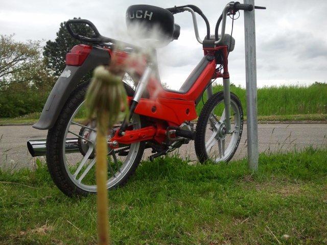 Puch Maxi P1 billede 13