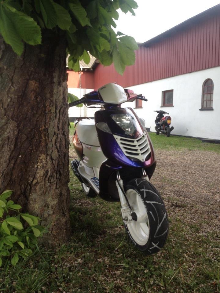 Aprilia Sonic AC DD billede 5