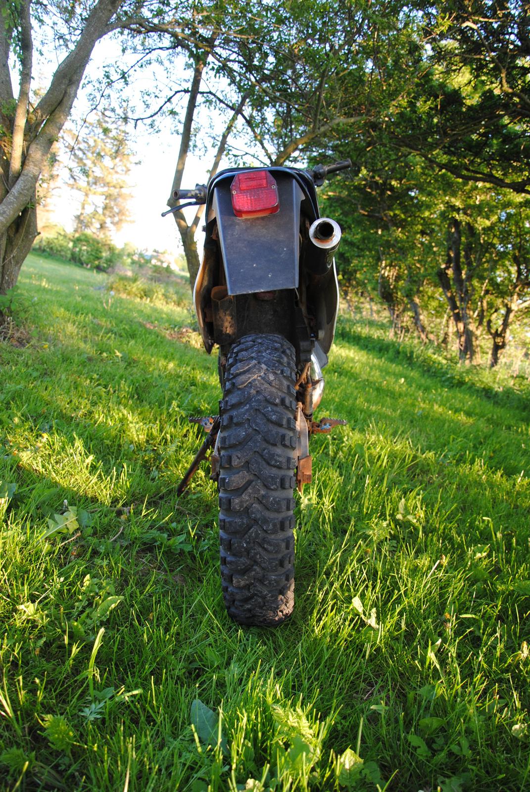 Suzuki Super Motard SMX billede 6