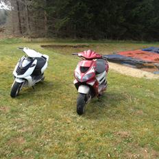 Peugeot Speedfight 1 LC DD