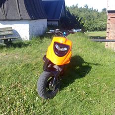 PGO hot50 PMPS(hverdags lotte) BYTTET