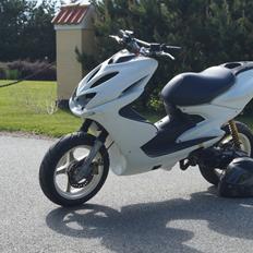 Yamaha Team Speed Aerox