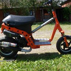 Piaggio Nrg/zip