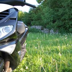 Peugeot Speedfight 2 AC SD (DØD!)