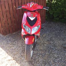 Peugeot speedfight Rally