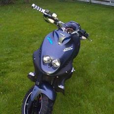 PGO Pmx Naked Carbon