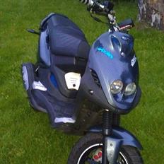 PGO Pmx Naked Carbon