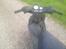 Gilera Stalker