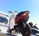 Aprilia Sonic AC