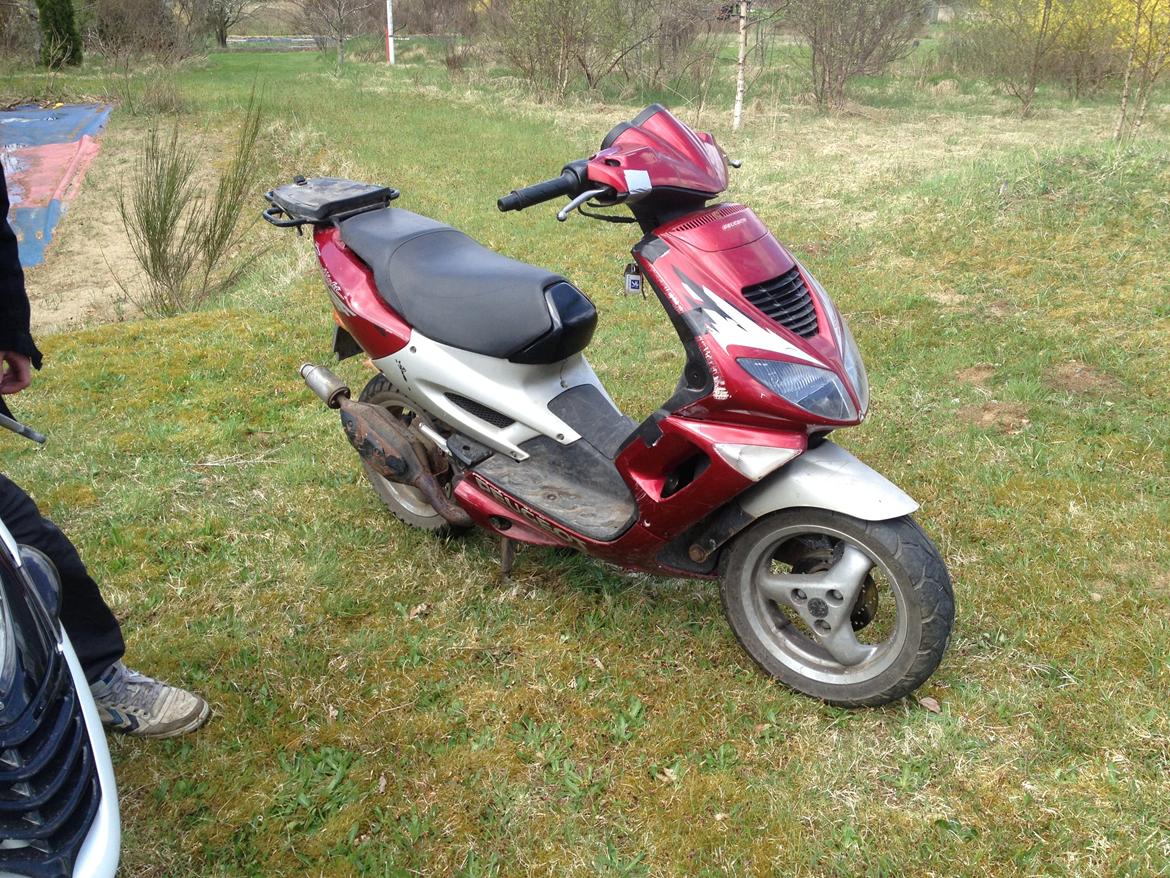 Peugeot Speedfight 1 LC DD billede 1