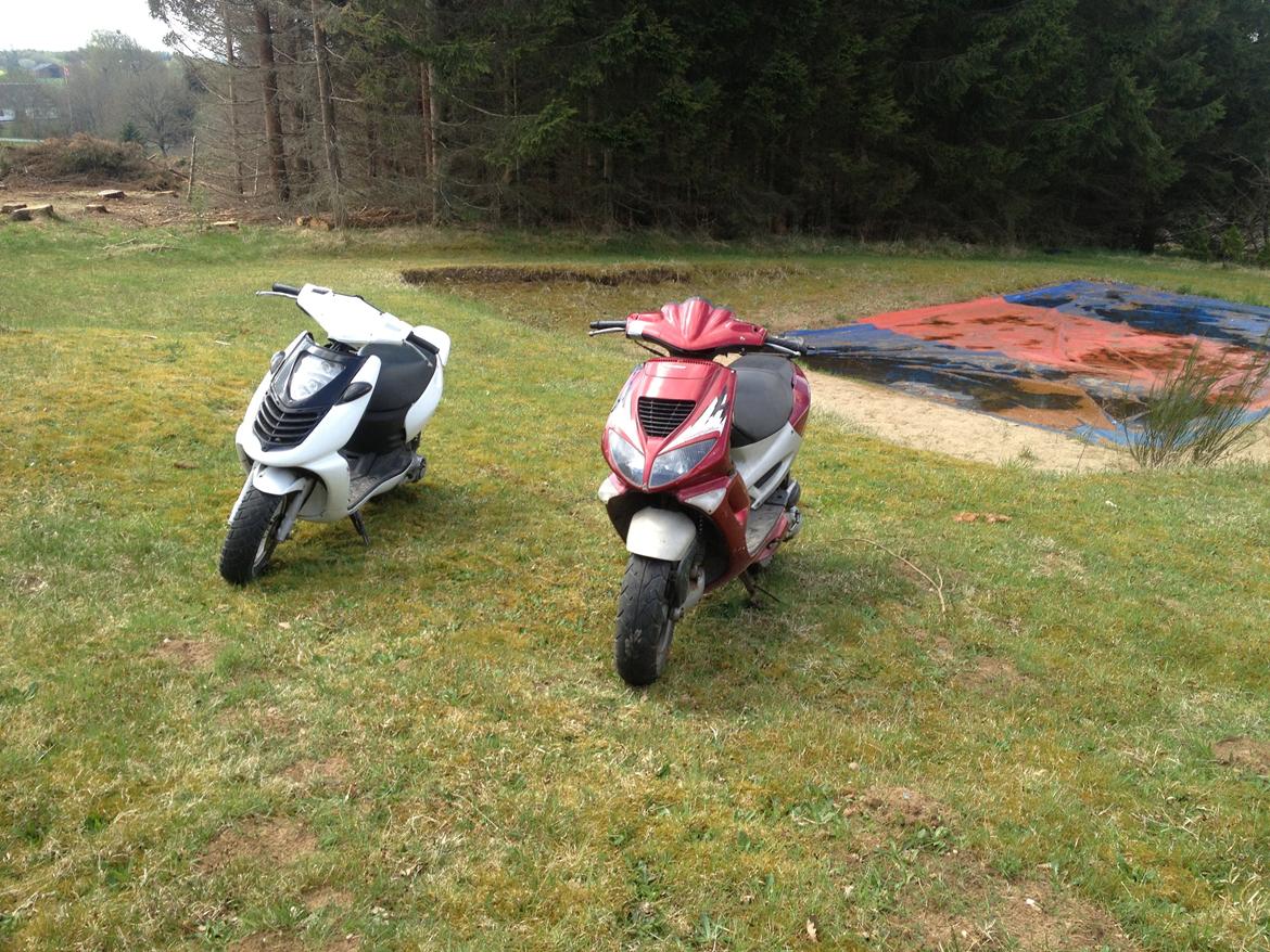 Peugeot Speedfight 1 LC DD billede 3