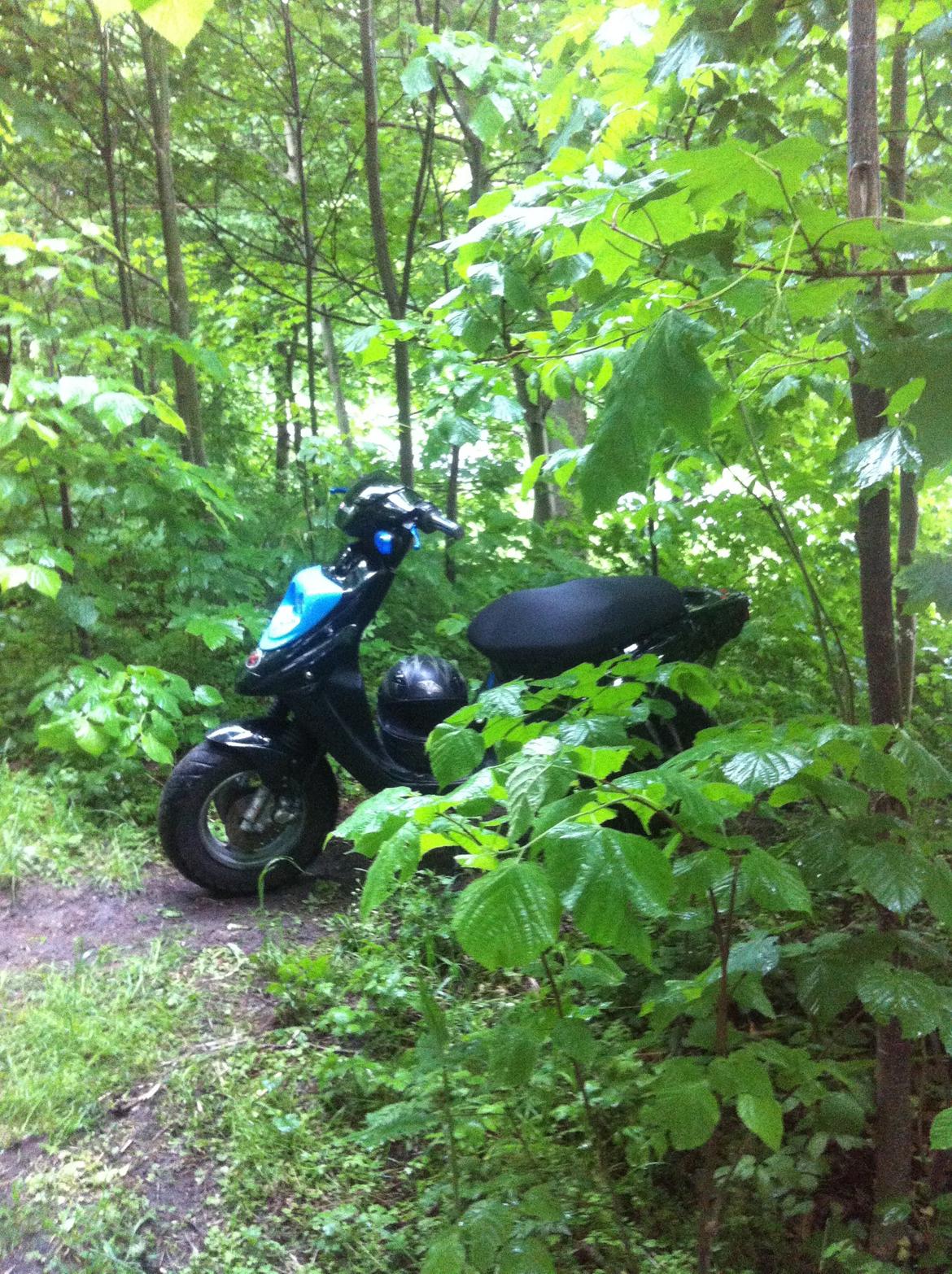 PGO hot 50 billede 7