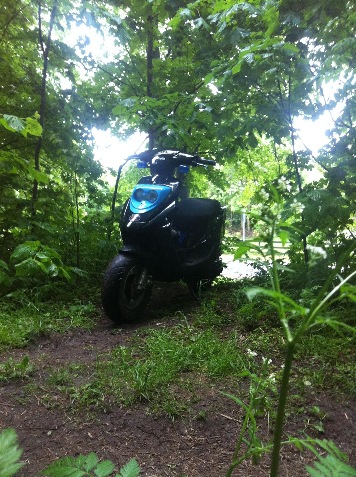 PGO hot 50 billede 8