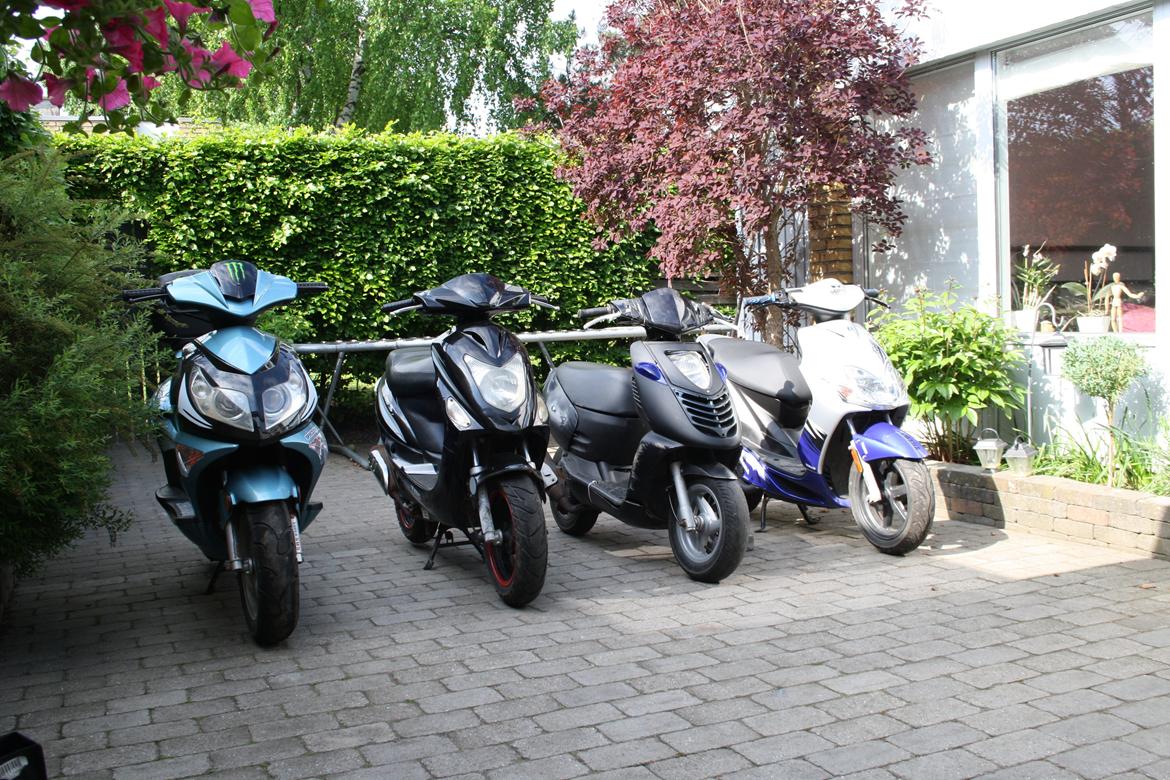 Aprilia Sonic billede 9