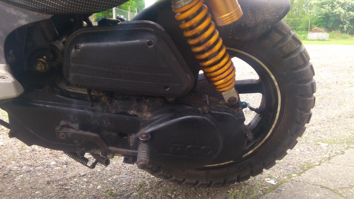 PGO PMX Naked Carbon billede 7