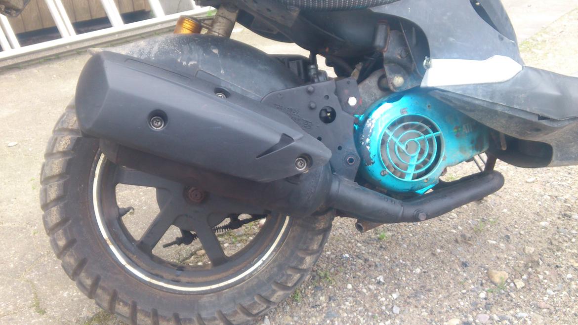 PGO PMX Naked Carbon billede 8