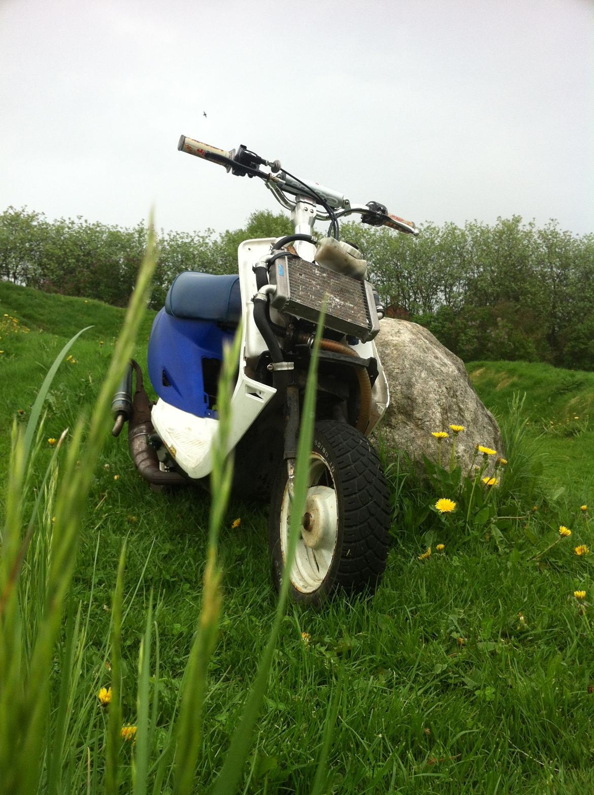 Yamaha jog fs billede 13