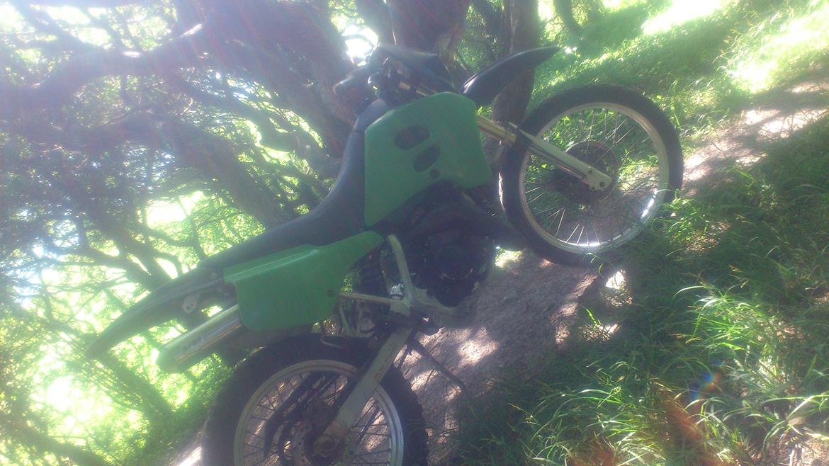 Suzuki Rmx billede 6