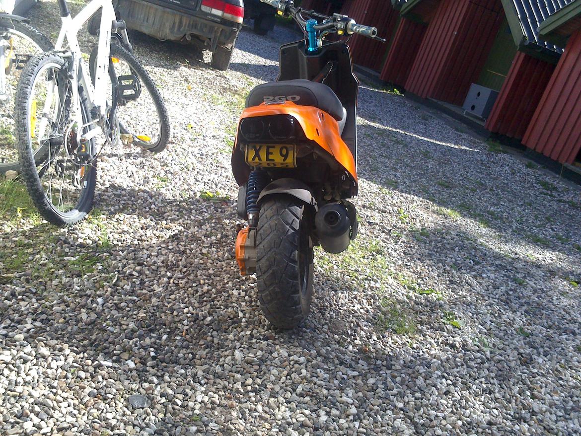 PGO hot50 PMPS(hverdags lotte) BYTTET billede 2