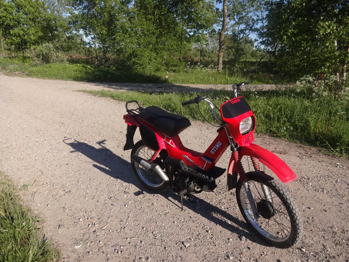 Yamaha sting billede 13