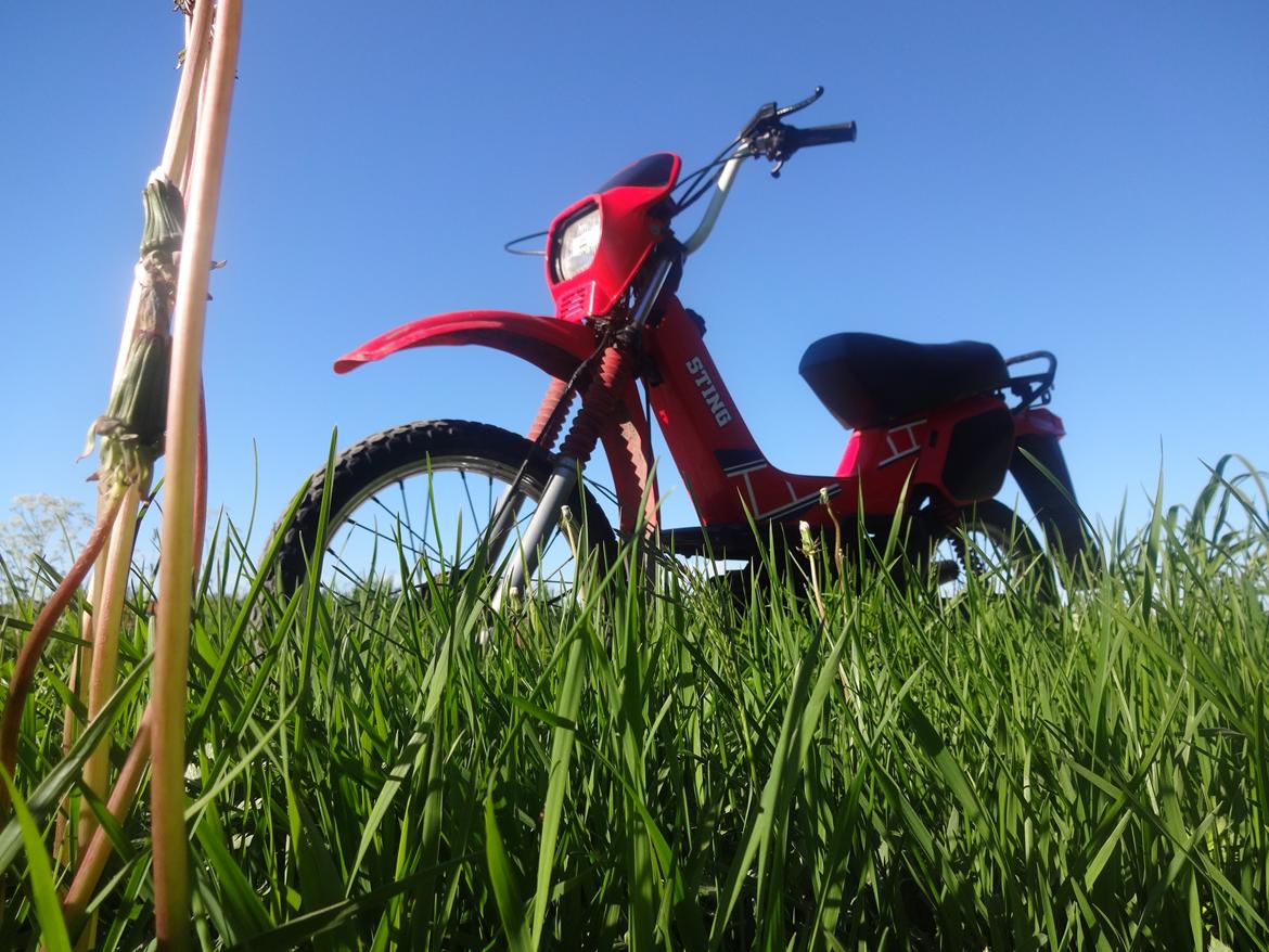 Yamaha sting billede 14