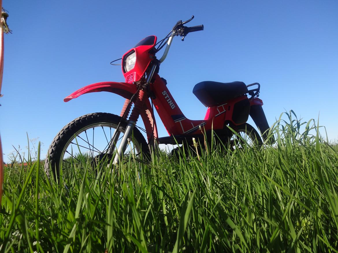 Yamaha sting billede 15