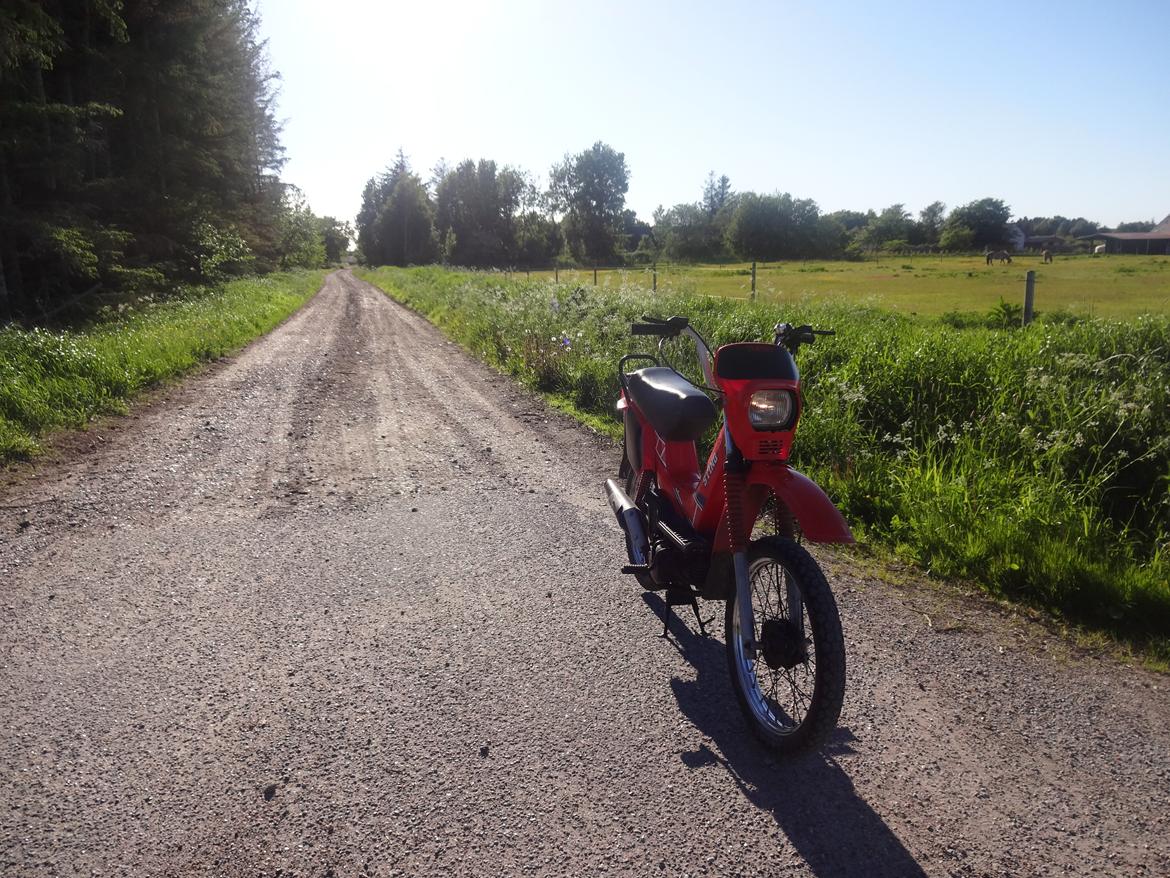Yamaha sting billede 16